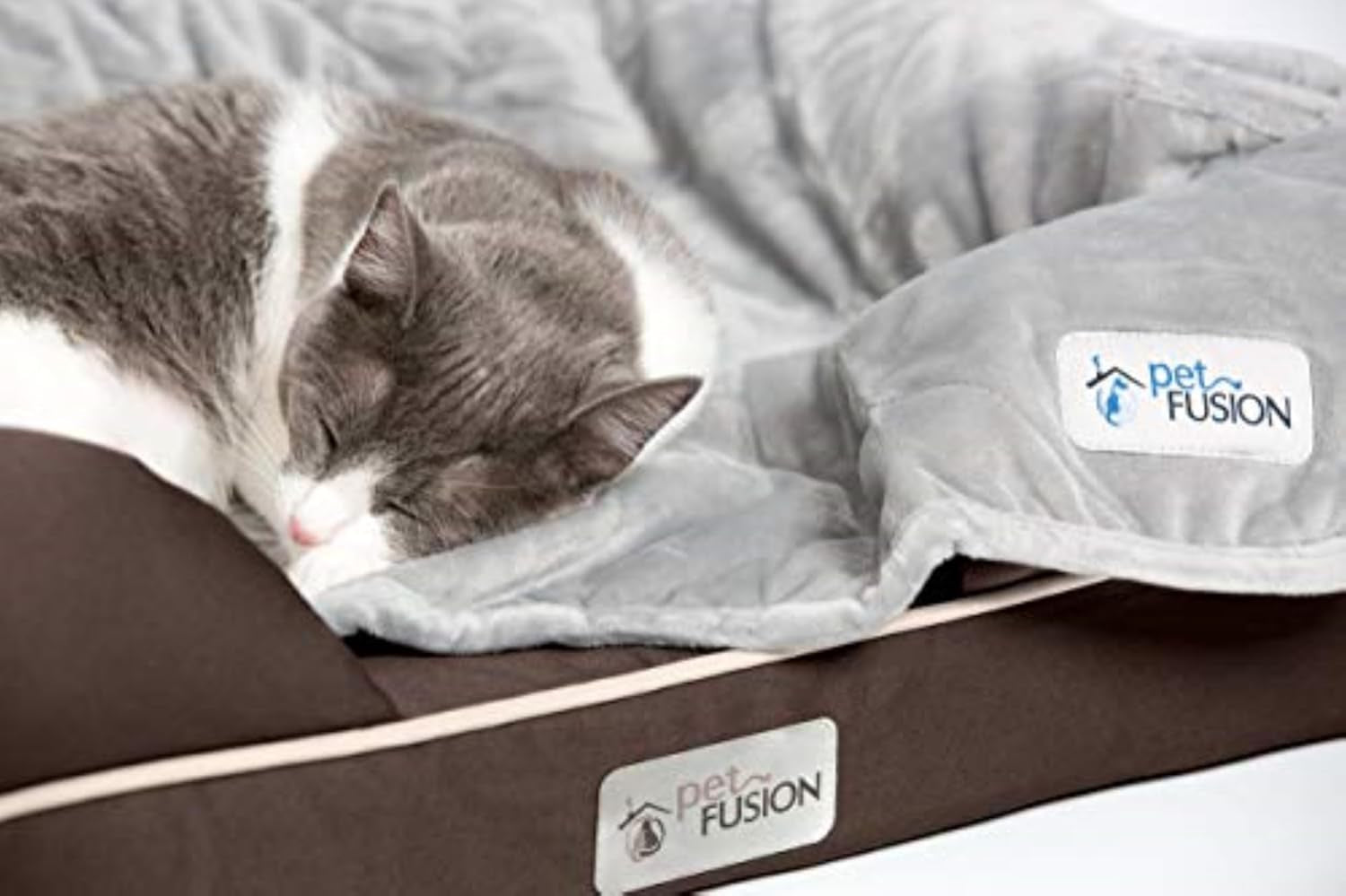 Ultimate Dog Bed, Orthopedic Memory Foam, Multiple Sizes and Colors, Medium Firmness Pillow, Waterproof Liner, YKK Zippers, Breathable 35% Cotton Cover